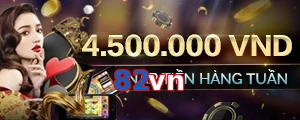 82vn